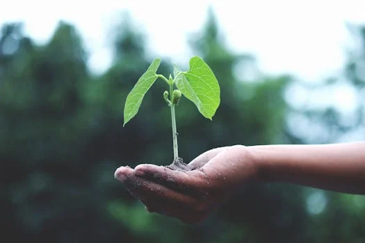 The Mazargri Project: Partnering for a Revolutionary Future in Agriculture