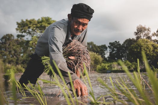 AI in Agriculture: Transforming Asia’s Farming Future